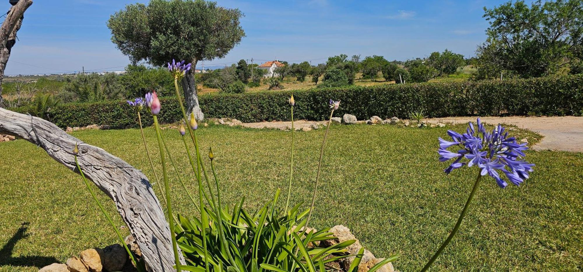 Quinta Do Lagar Βίλα Αλμπουφέιρα Εξωτερικό φωτογραφία